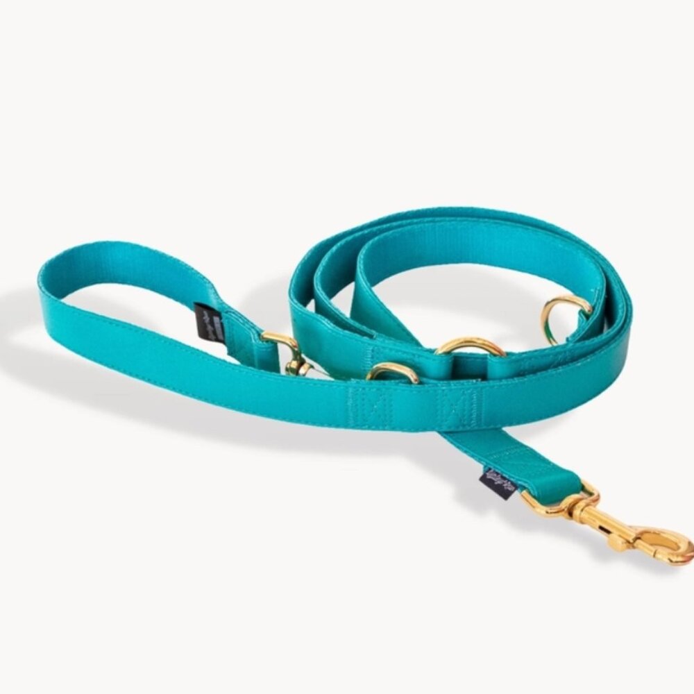 Teal Leash with Gold Tone Hardware Vegan NWT